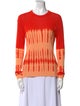 Proenza Schouler Graphic Print Crew Neck Sweatshirt