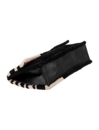 Proenza Schouler Shearling Pouch