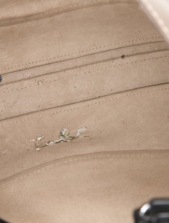 Proenza Schouler Leather Shoulder Bag