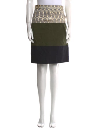 Proenza Schouler Striped Knee-Length Skirt