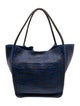 Proenza Schouler Leather Tote