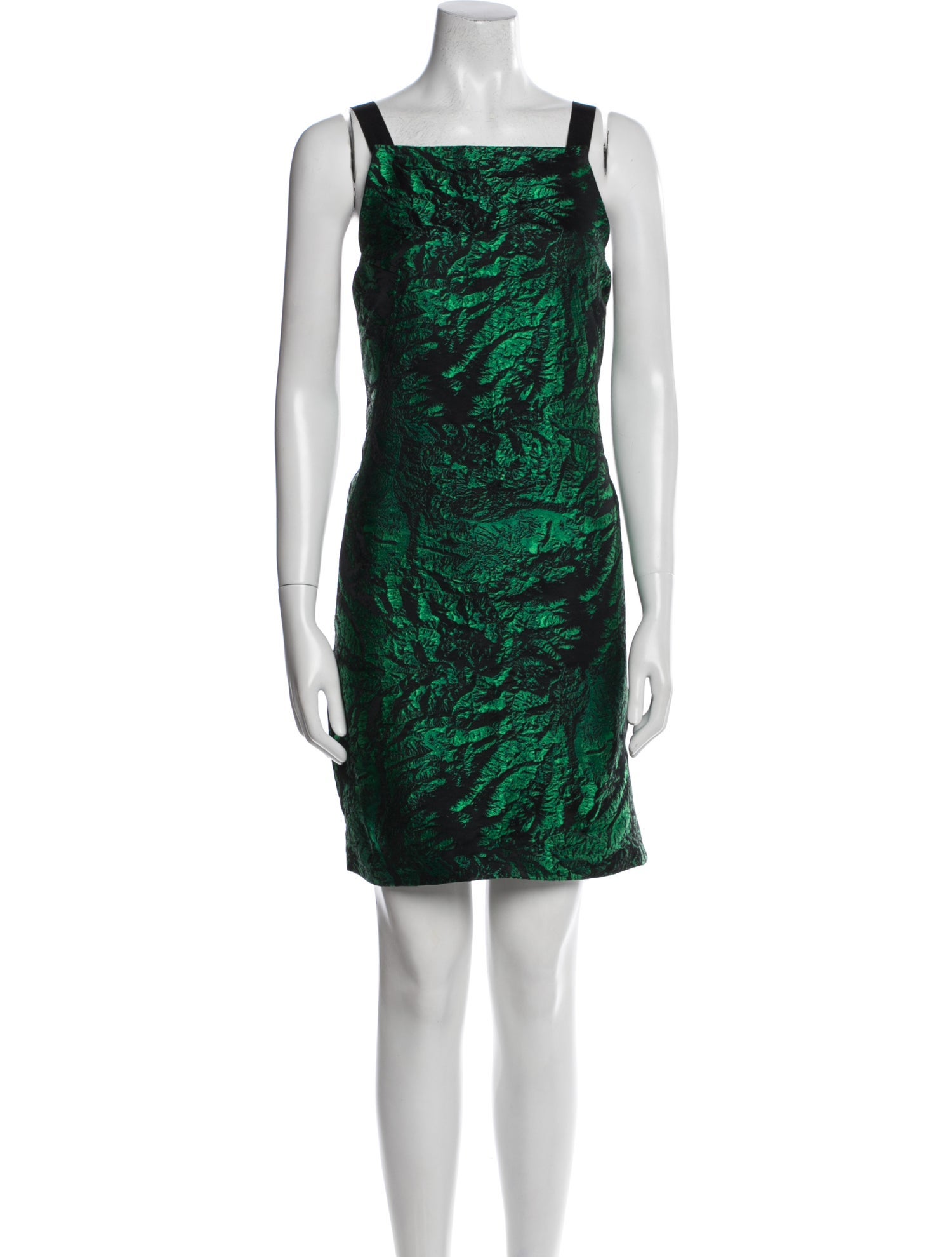 Proenza Schouler Printed Mini Dress