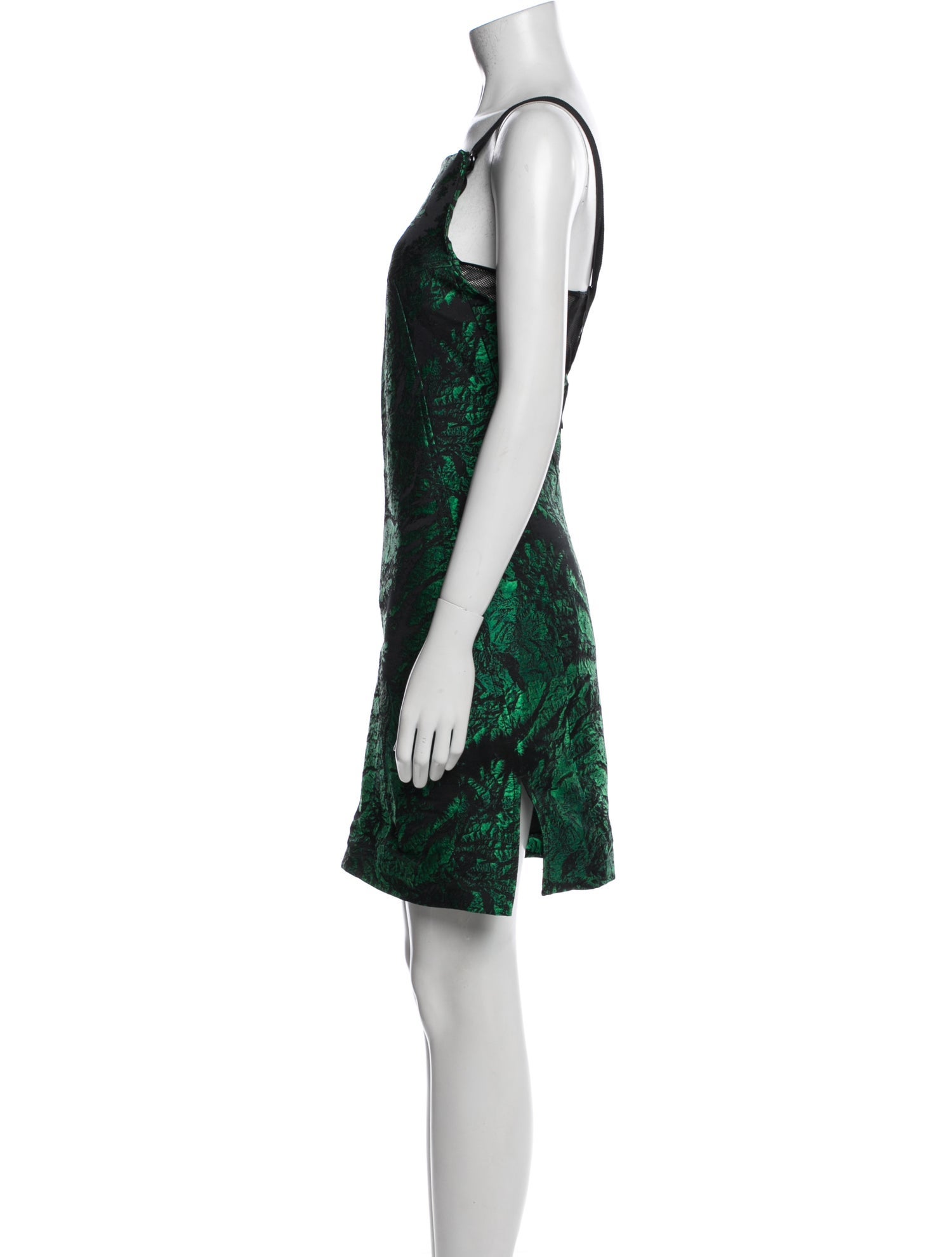 Proenza Schouler Printed Mini Dress