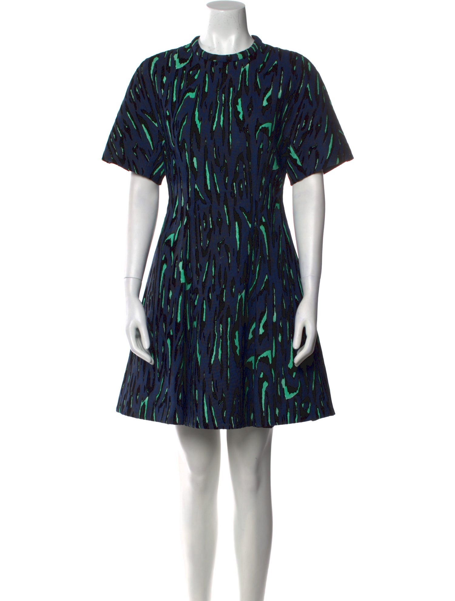Proenza Schouler Printed Mini Dress