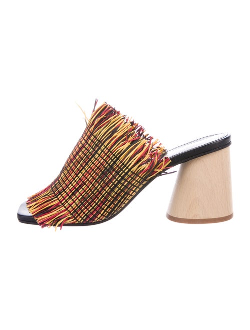 Proenza Schouler Slides