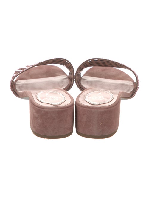 René Caovilla Suede Glitter Accents Slides
