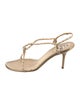 René Caovilla Leather T-Strap Sandals