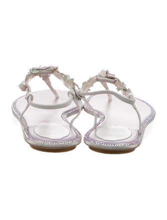 René Caovilla Leather T-Strap Sandals