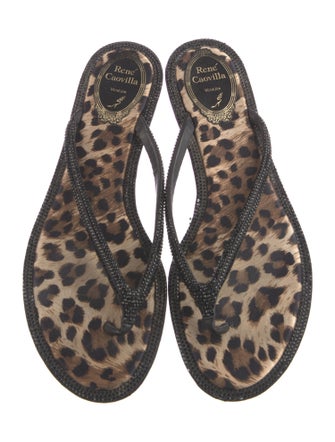 René Caovilla Leather Printed Slides