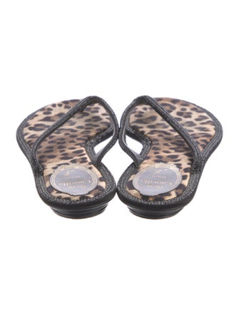 René Caovilla Leather Printed Slides