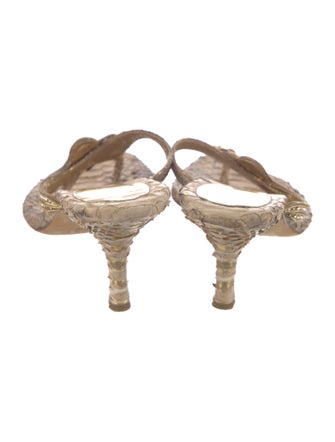 René Caovilla Python Animal Print Espadrilles