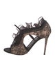 René Caovilla Lace Lace Pattern Sandals