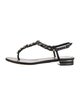 René Caovilla Leather T-Strap Sandals
