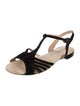 Repetto Suede T-Strap Sandals