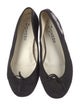 Repetto Ballet Flats