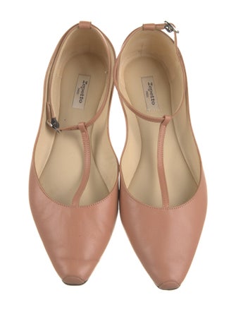 Repetto Leather Ballet Flats