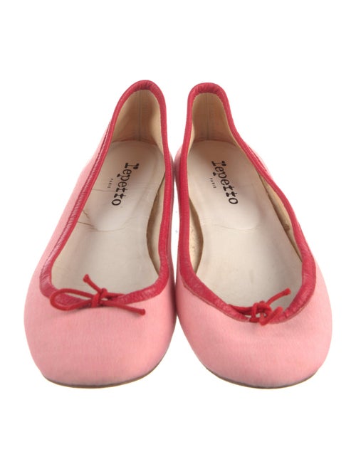 Repetto Leather Ballet Flats