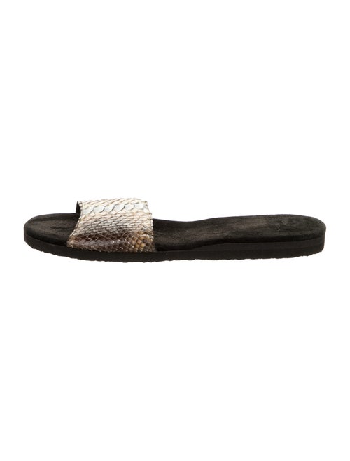 Rhonda Ochs Snakeskin Slides