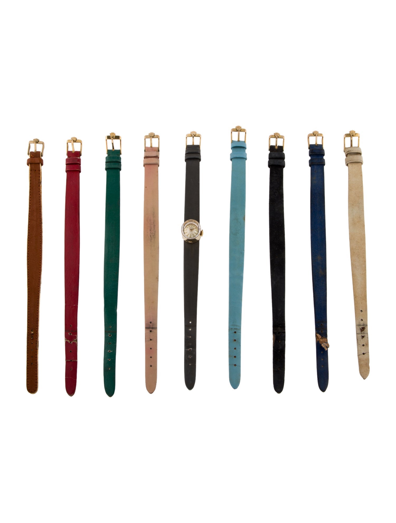 Rolex Orchid Chameleon Watch