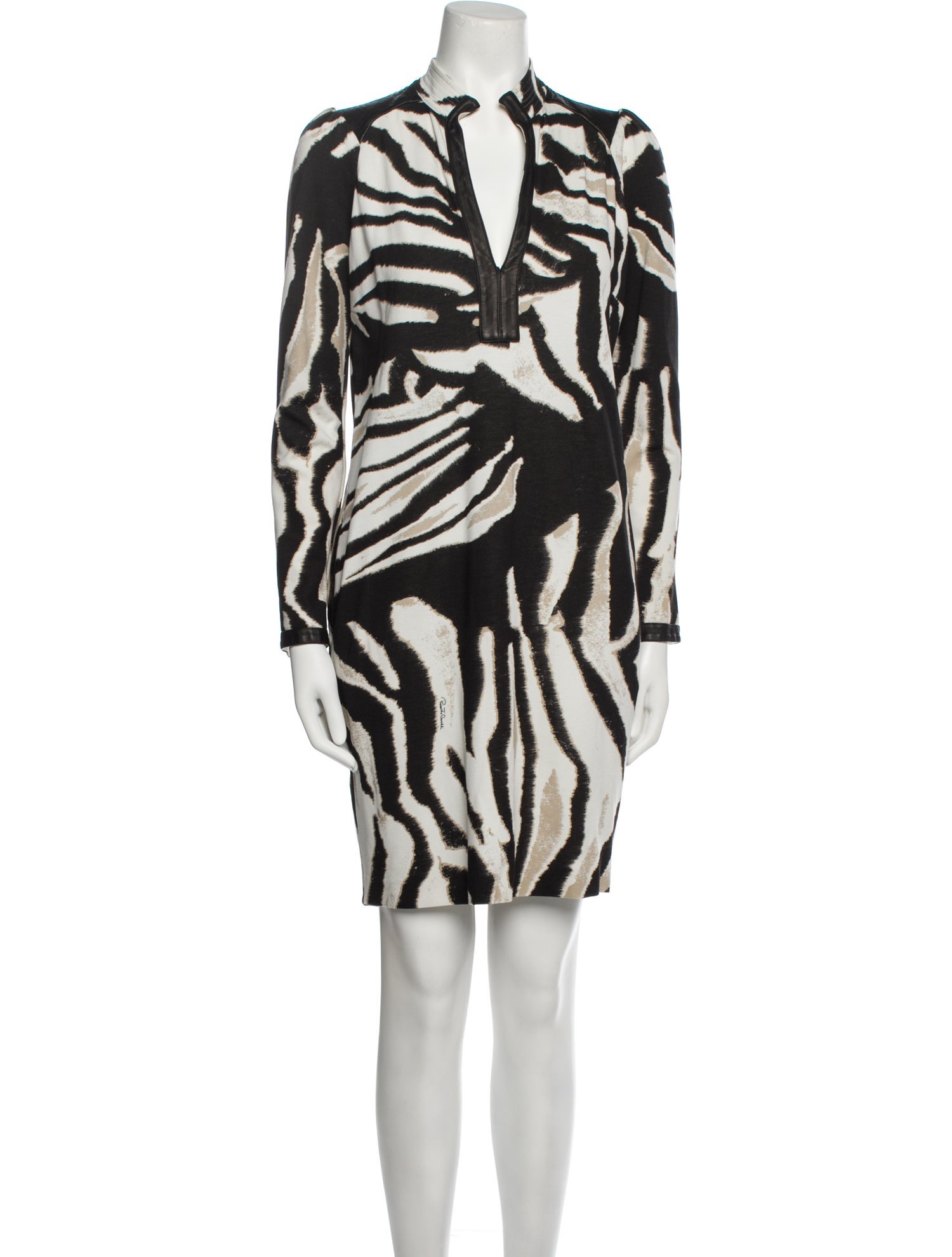 Roberto Cavalli Animal Print Mini Dress