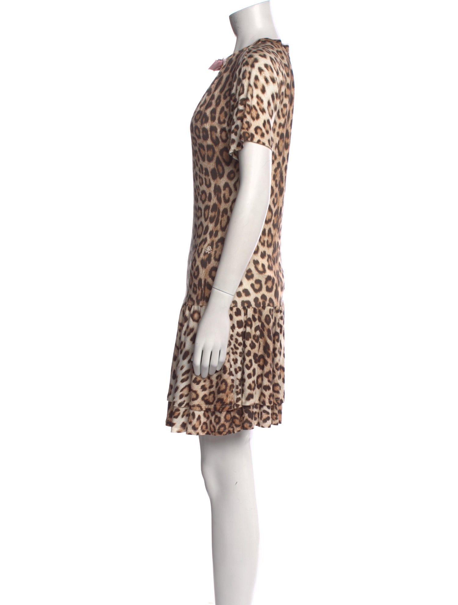 Roberto Cavalli Animal Print Mini Dress