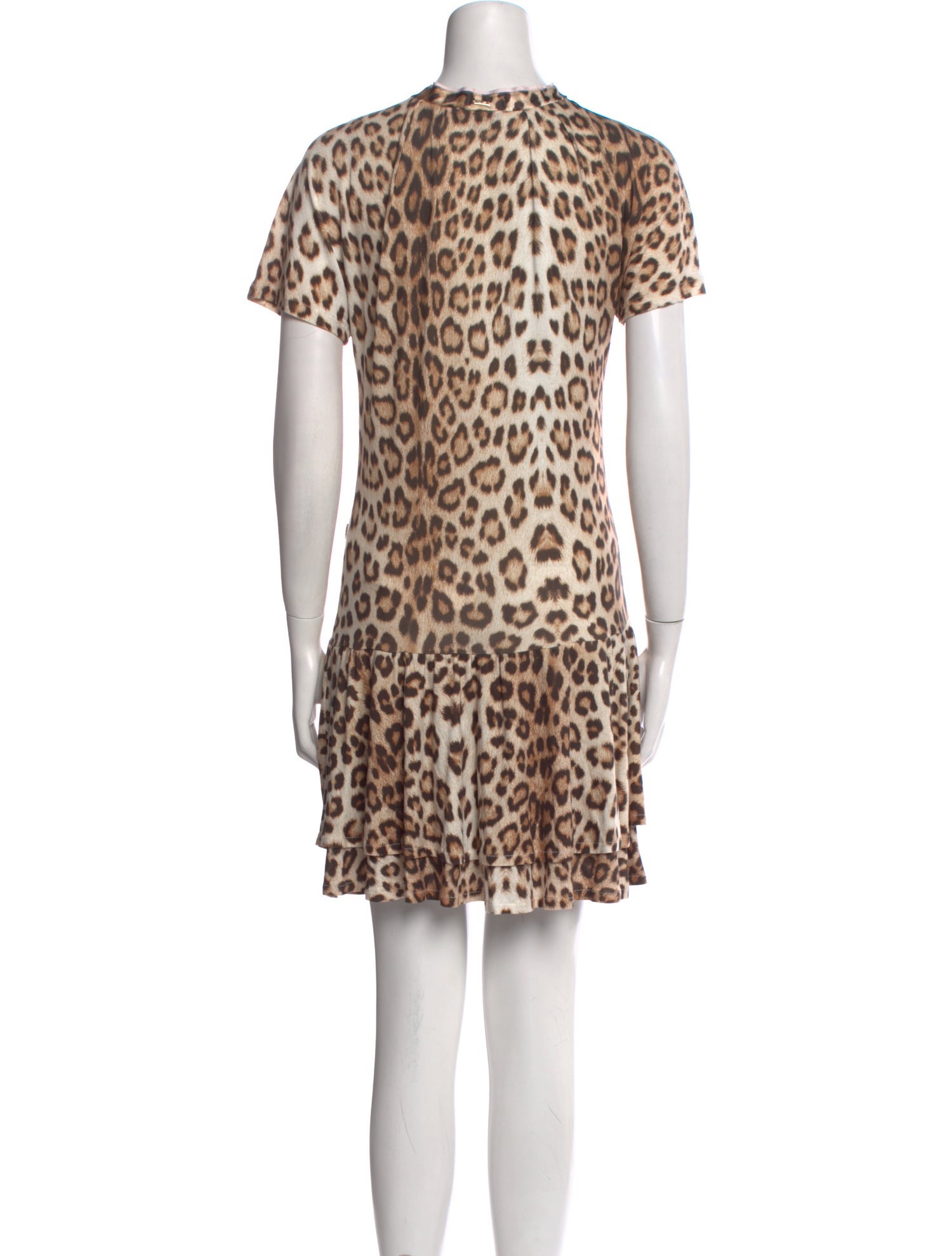Roberto Cavalli Animal Print Mini Dress