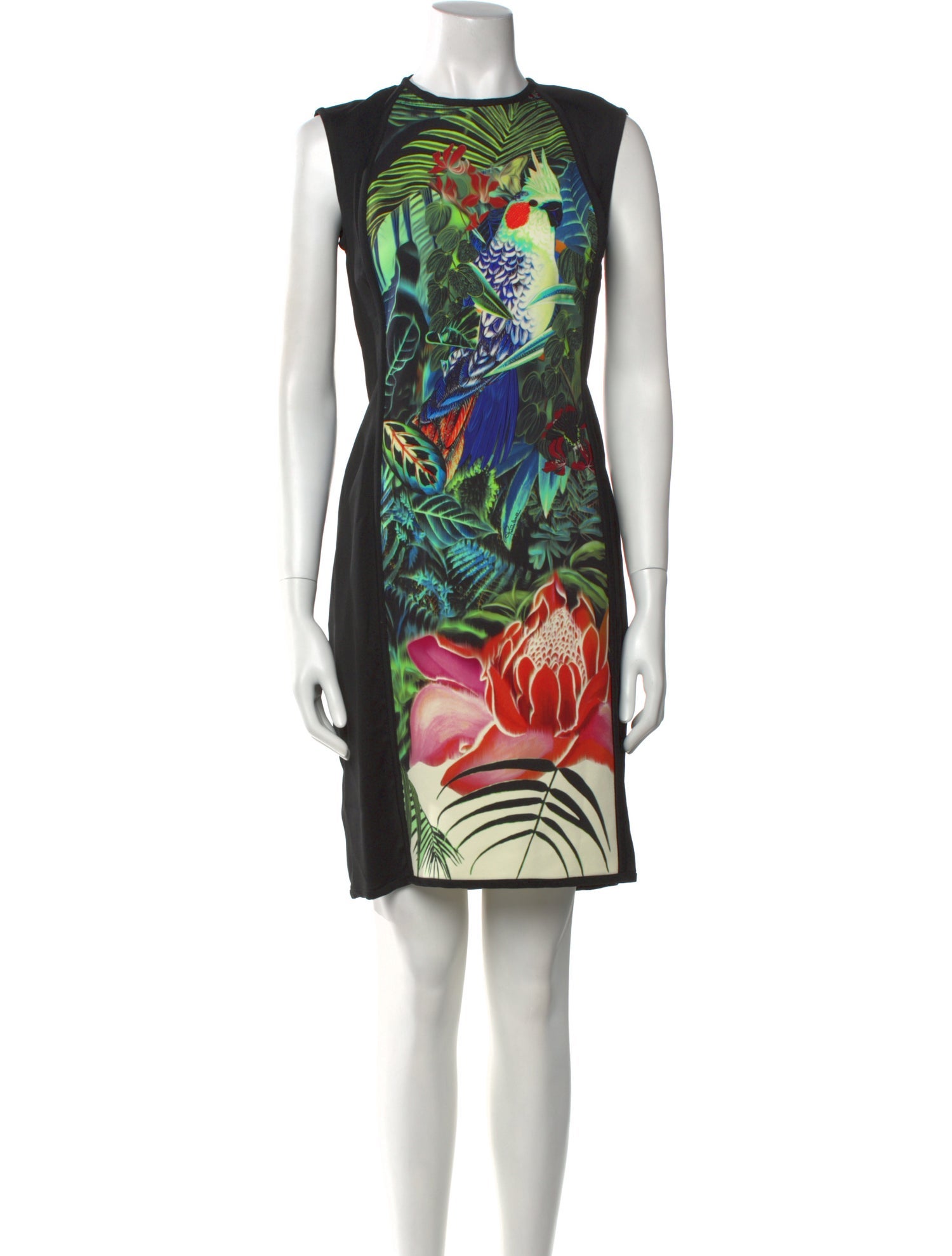 Roberto Cavalli Printed Knee-Length Dress