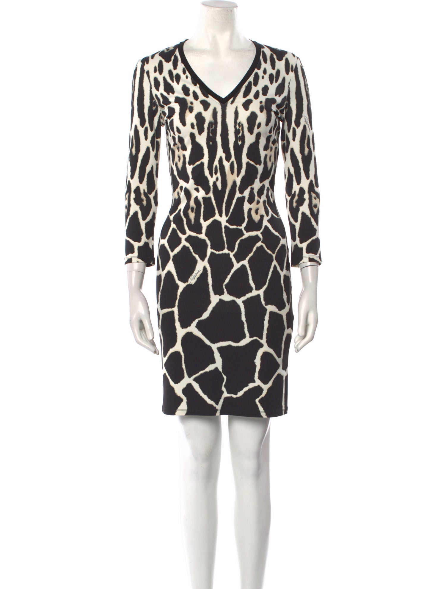 Roberto Cavalli Animal Print Mini Dress