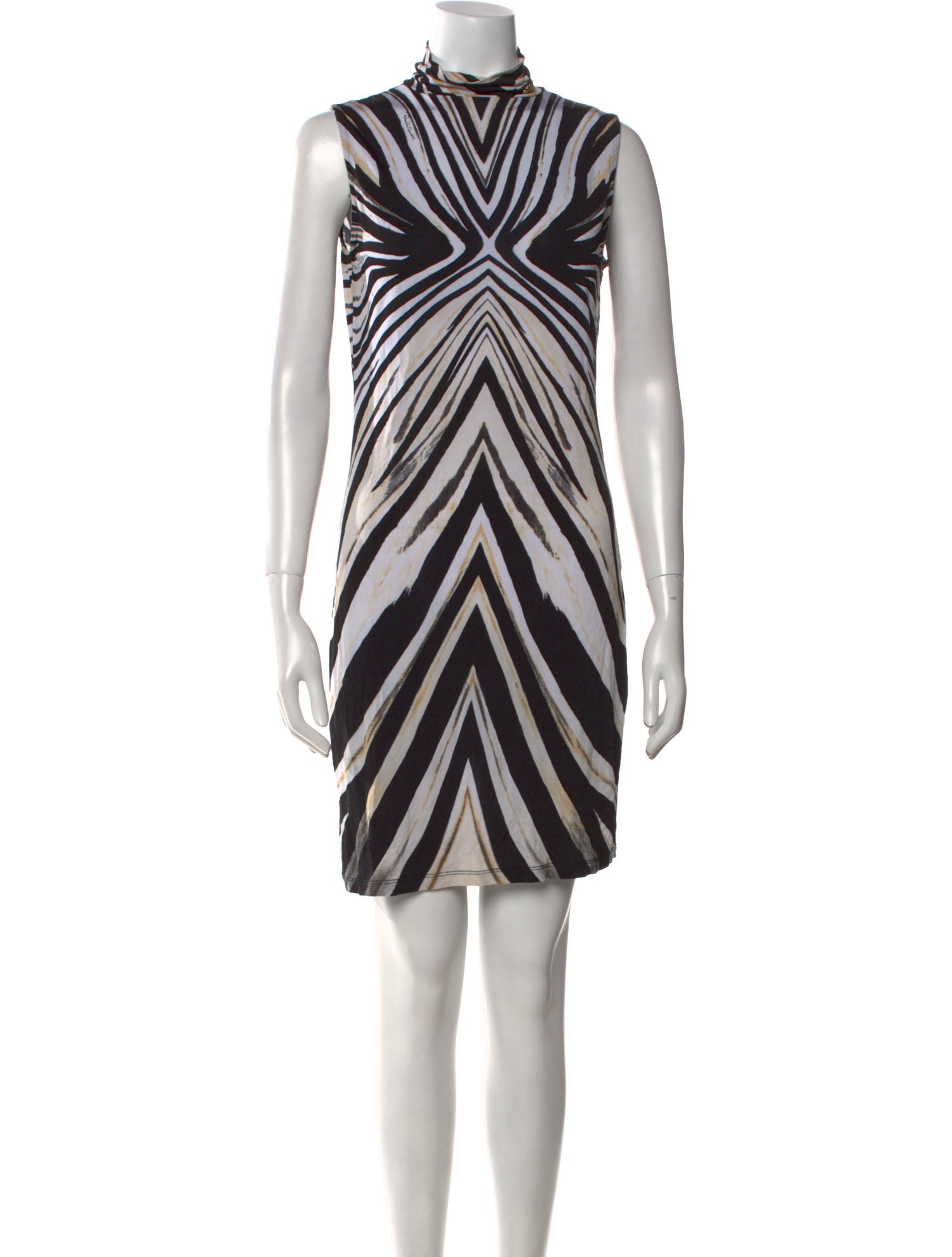 Roberto Cavalli Striped Mini Dress