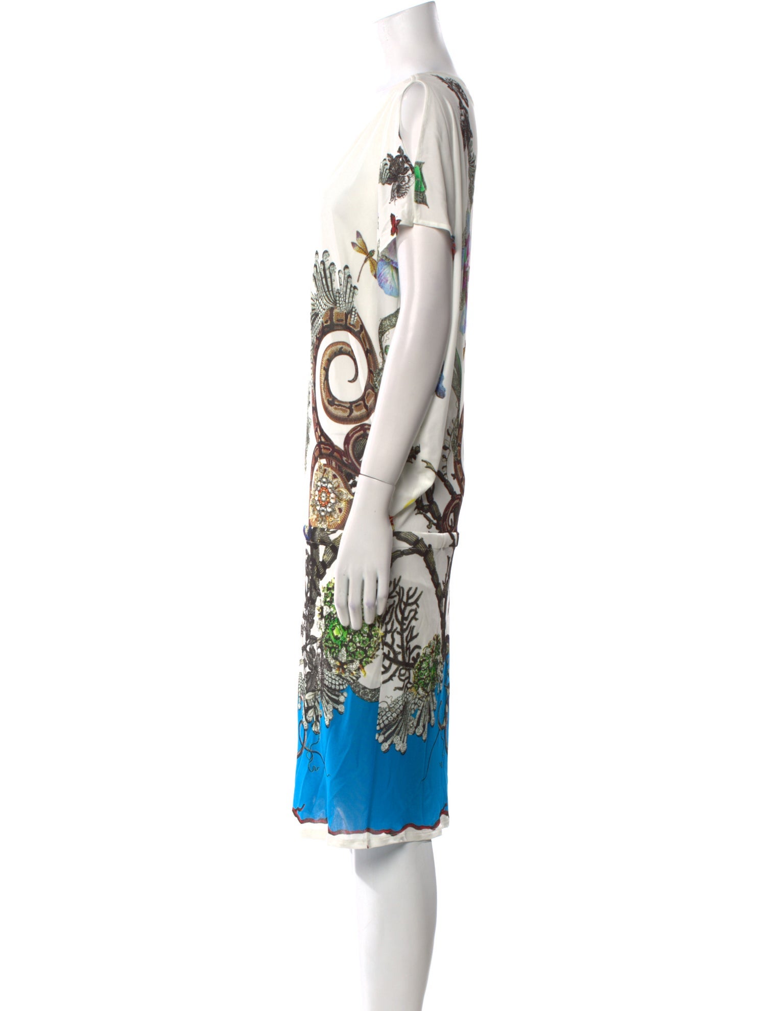 Roberto Cavalli Printed Knee-Length Dress