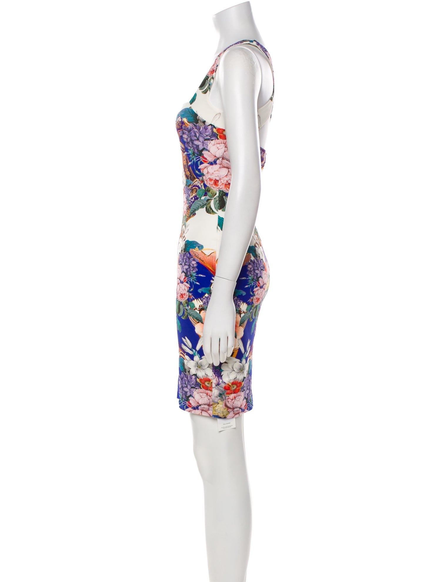 Roberto Cavalli Printed Mini Dress