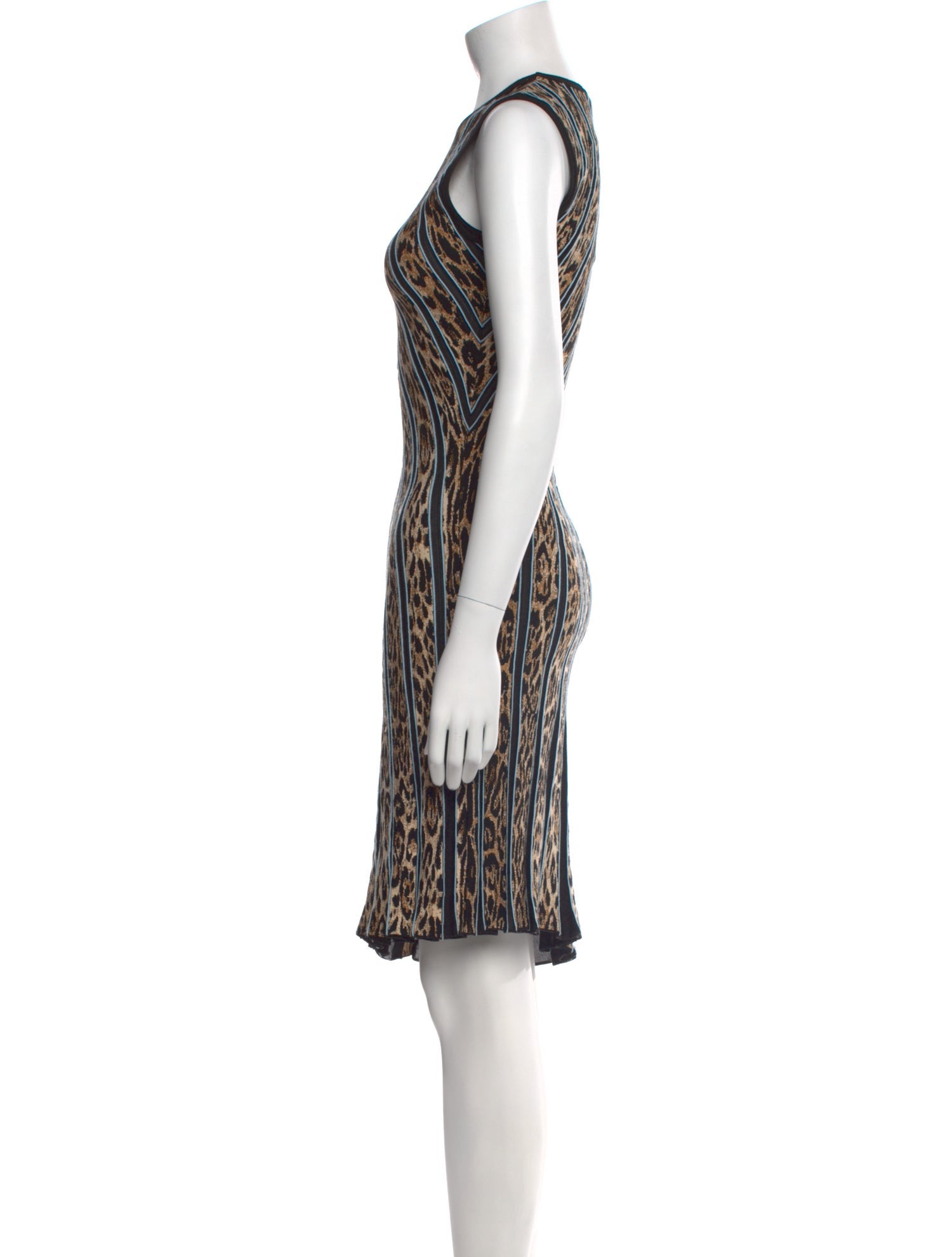 Roberto Cavalli Printed Knee-Length Dress
