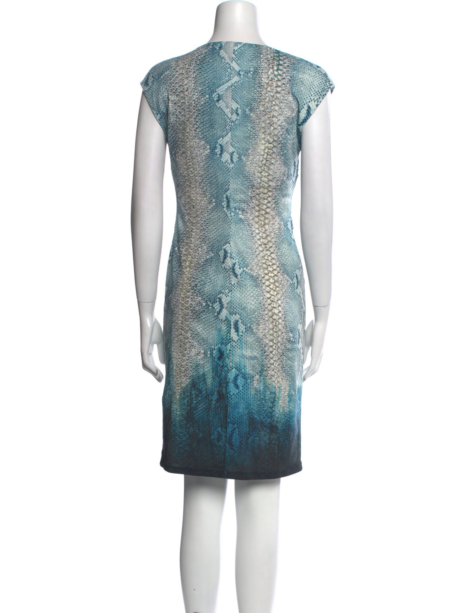 Roberto Cavalli Animal Print Knee-Length Dress