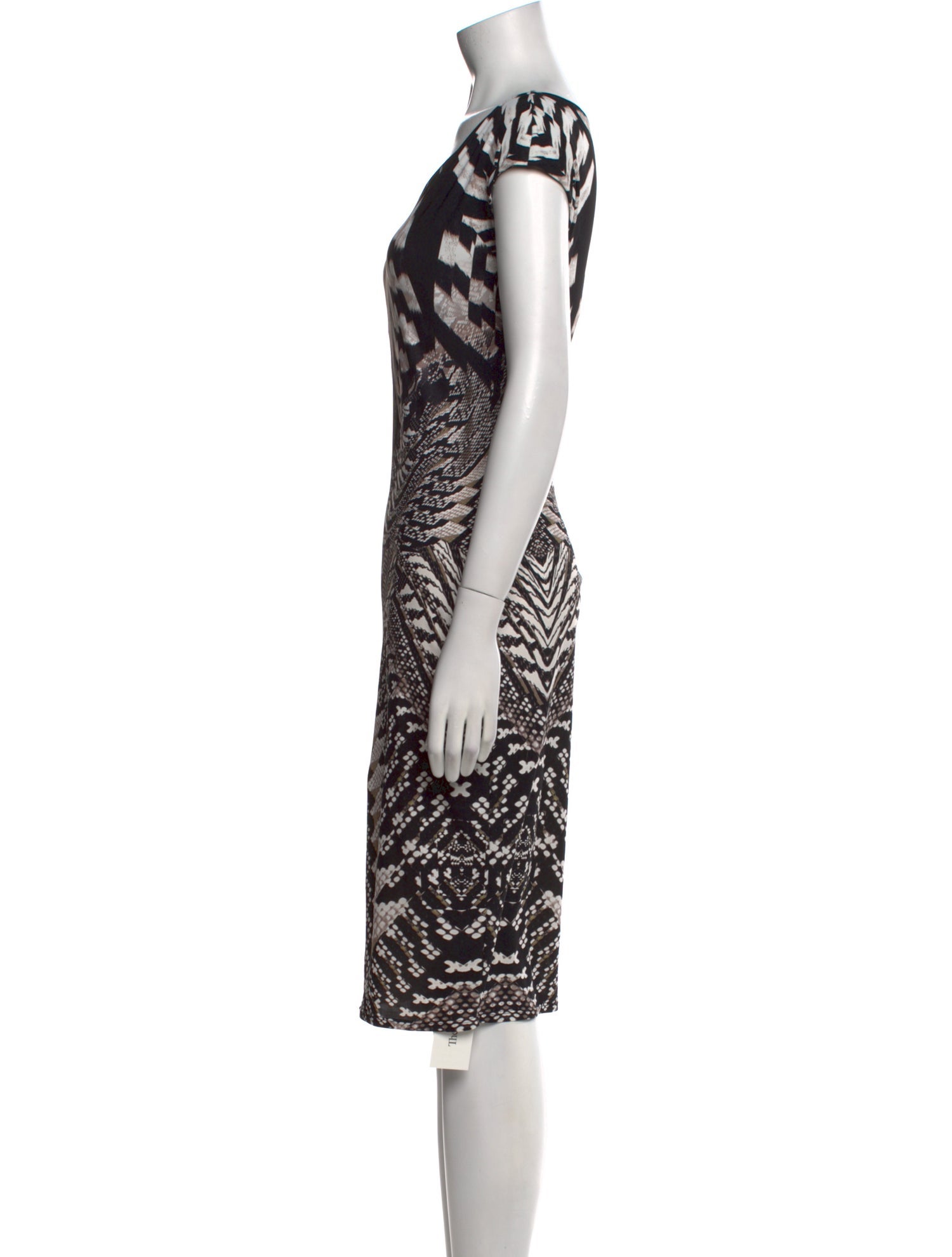 Roberto Cavalli Printed Knee-Length Dress