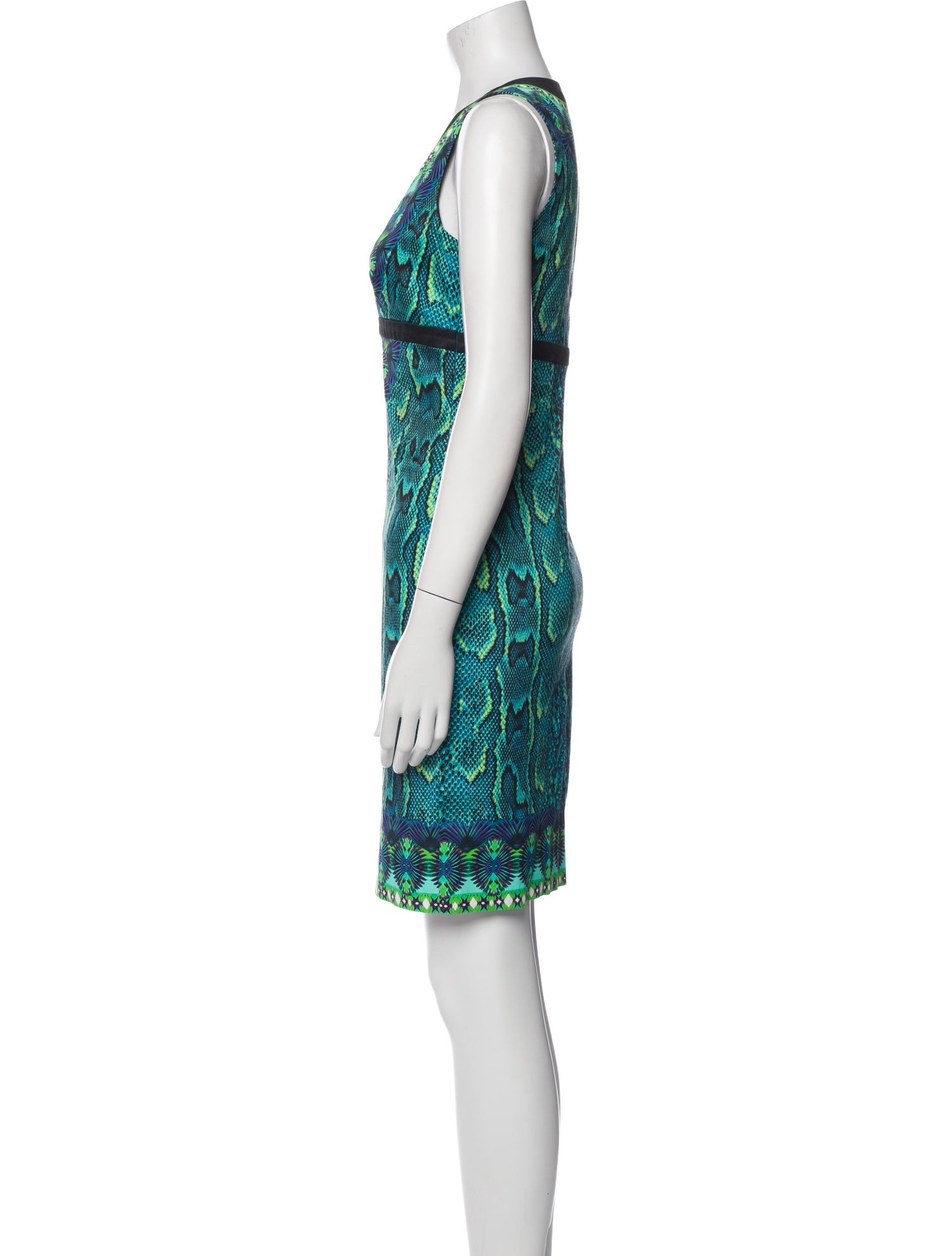Roberto Cavalli Printed Mini Dress