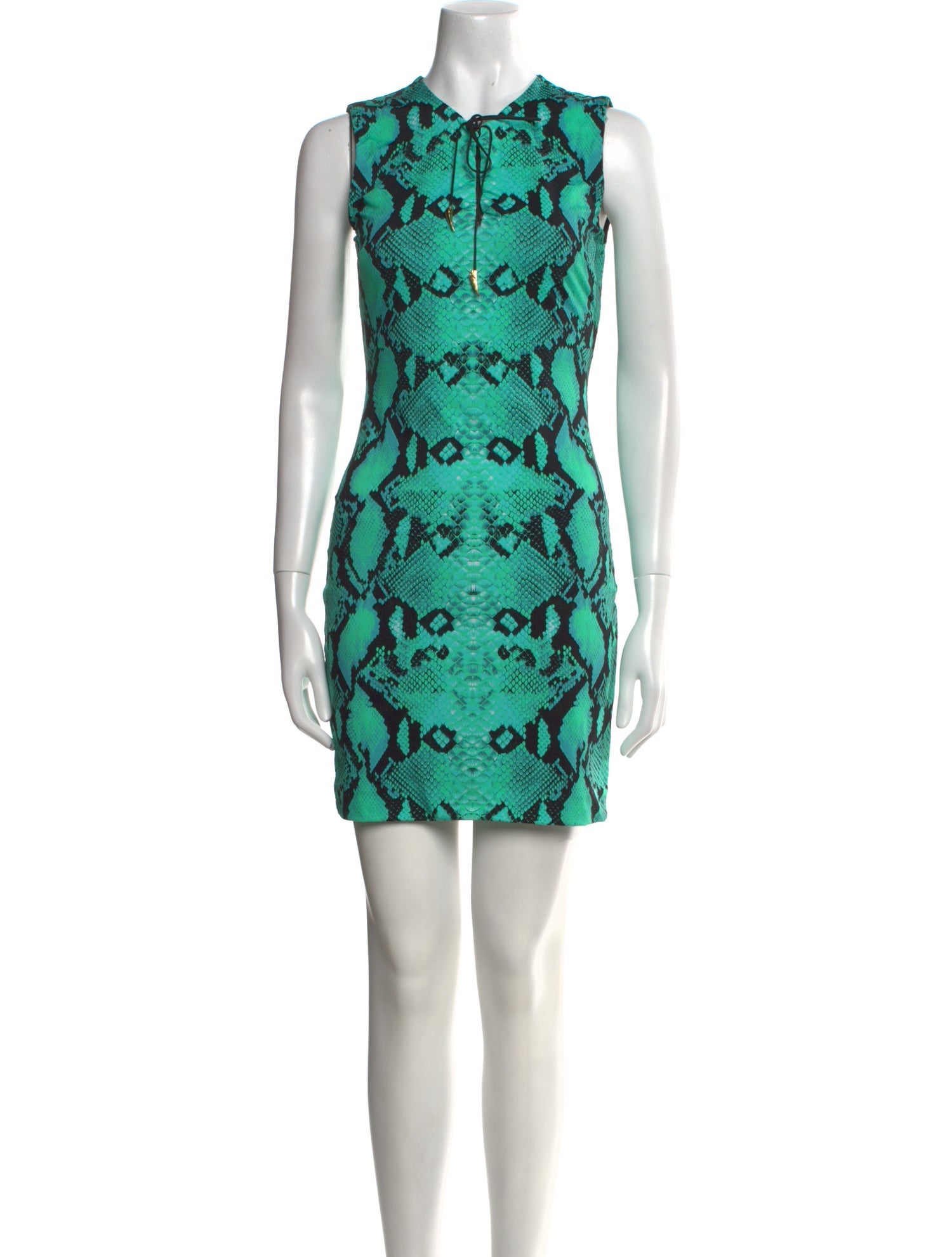 Roberto Cavalli Printed Mini Dress
