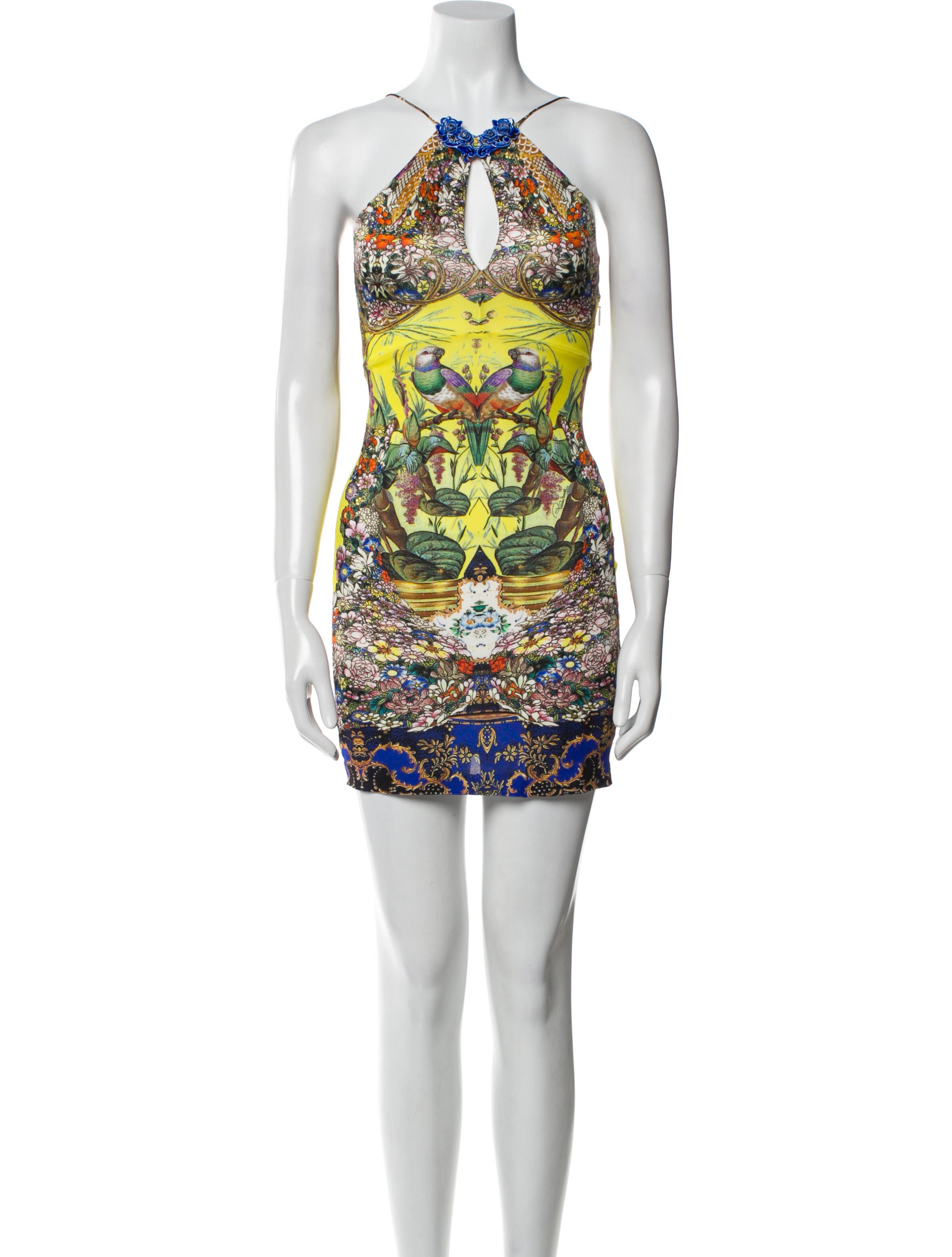 Roberto Cavalli Printed Mini Dress