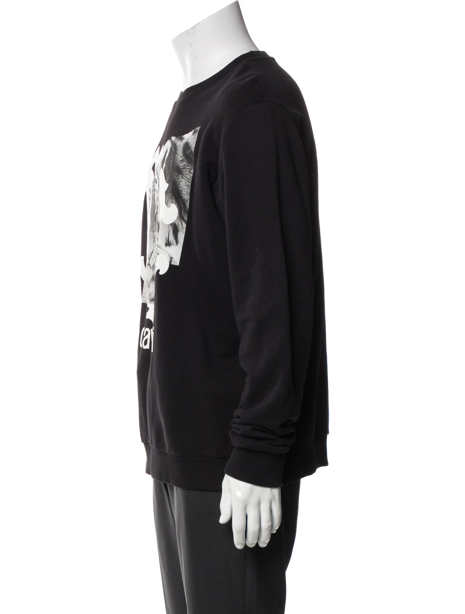 Roberto Cavalli Graphic Print Crew Neck Pullover