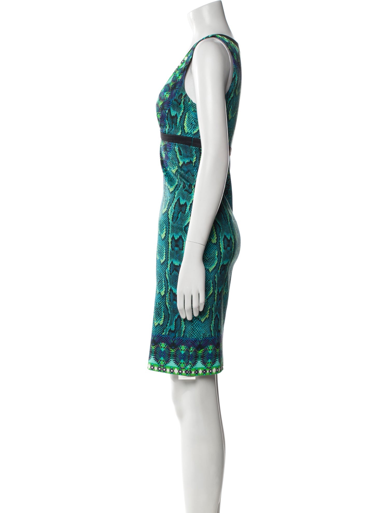 Roberto Cavalli Printed Mini Dress