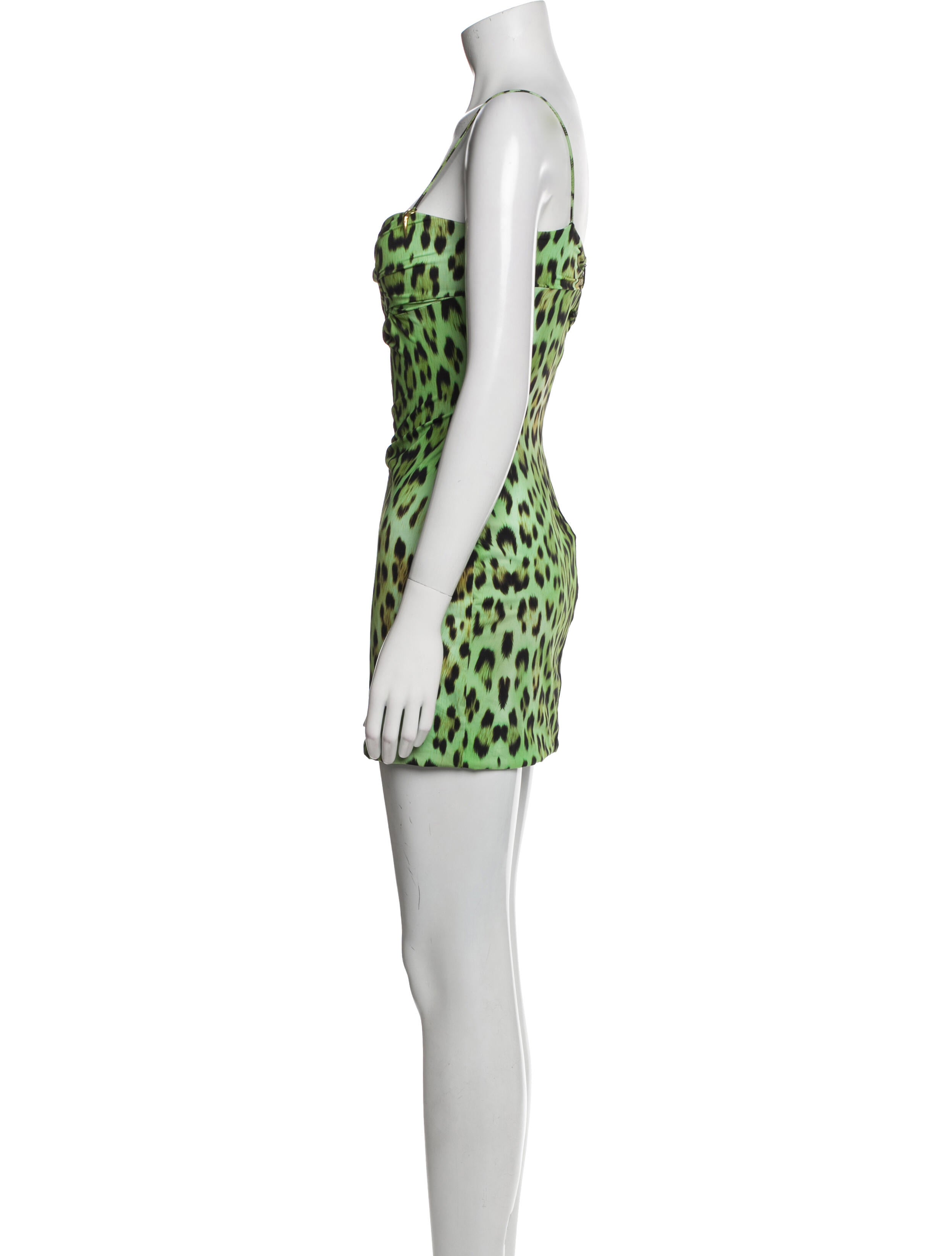 Roberto Cavalli Animal Print Mini Dress