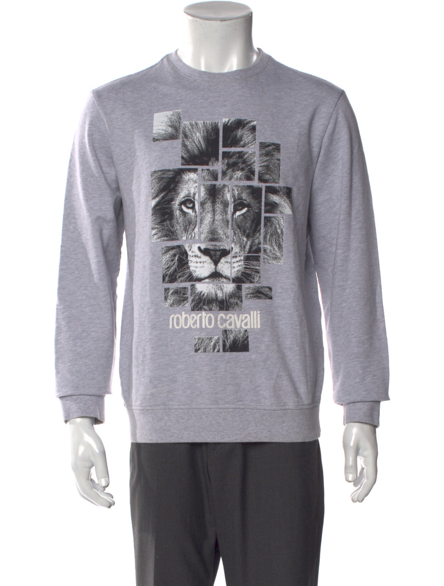 Roberto Cavalli Graphic Print Crew Neck Pullover