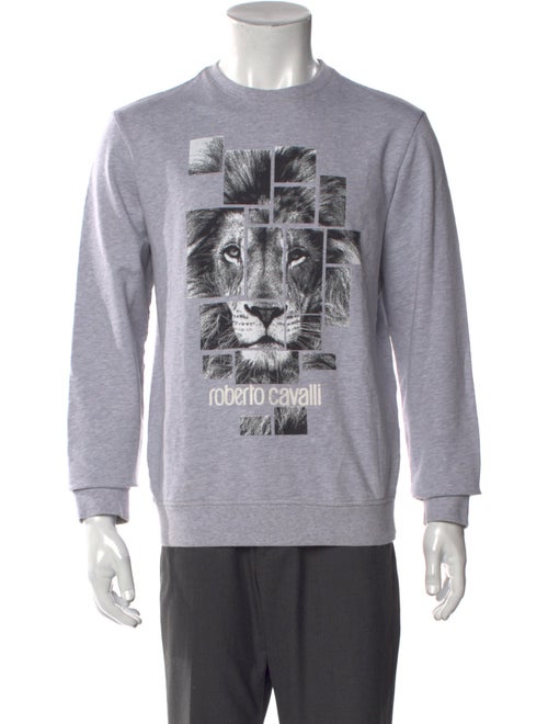 Roberto Cavalli Graphic Print Crew Neck Pullover