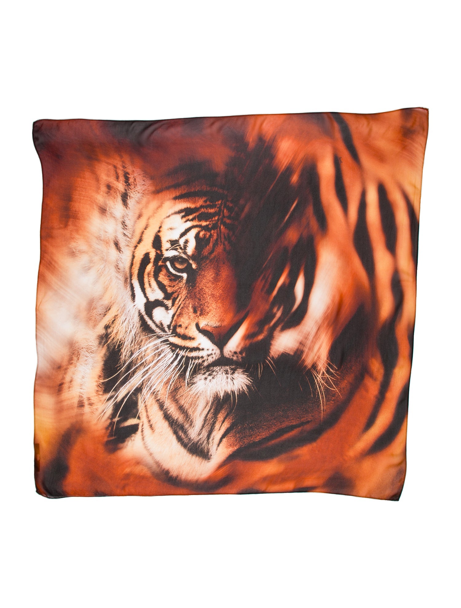 Roberto Cavalli Silk Printed Scarf