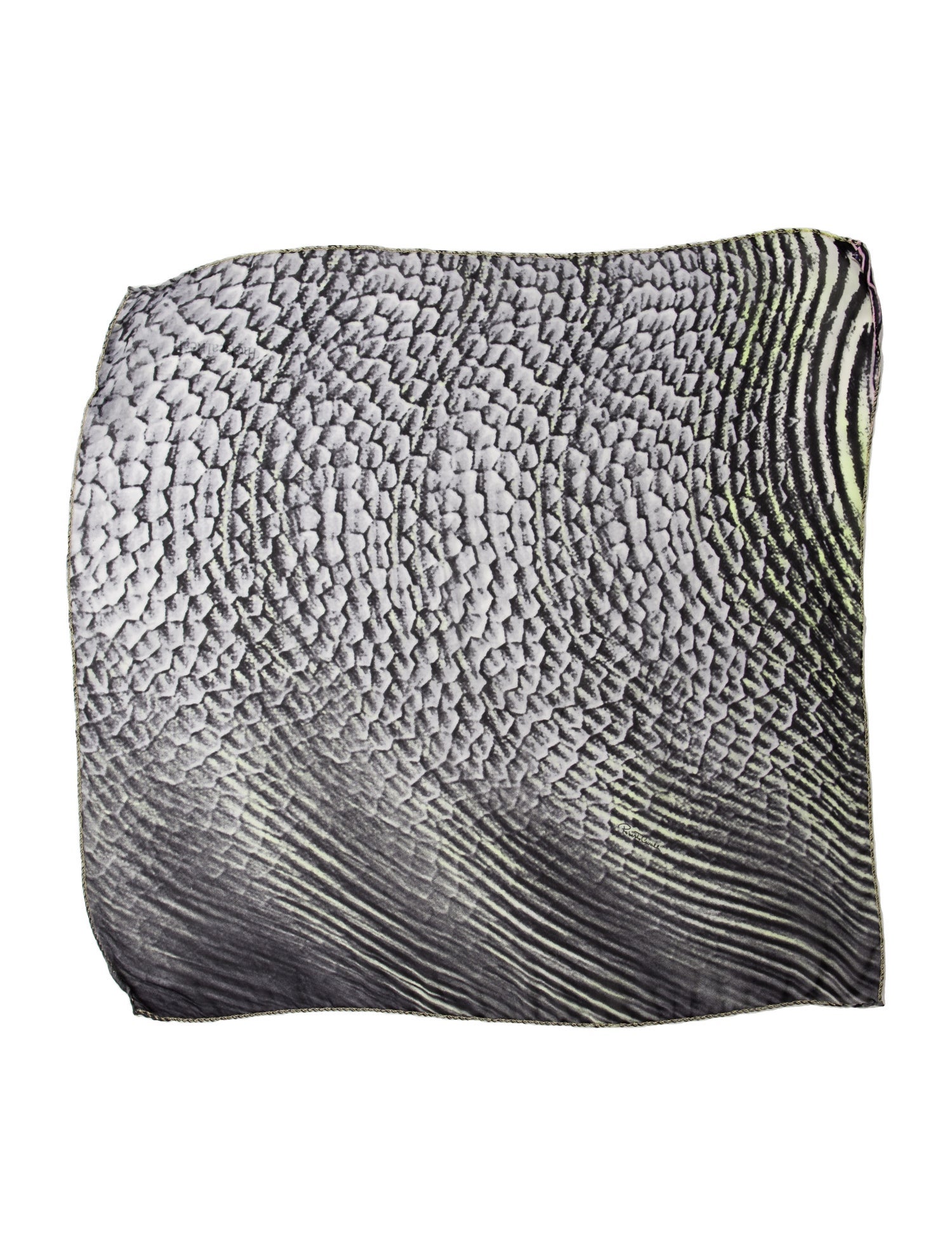 Roberto Cavalli Striped Scarf