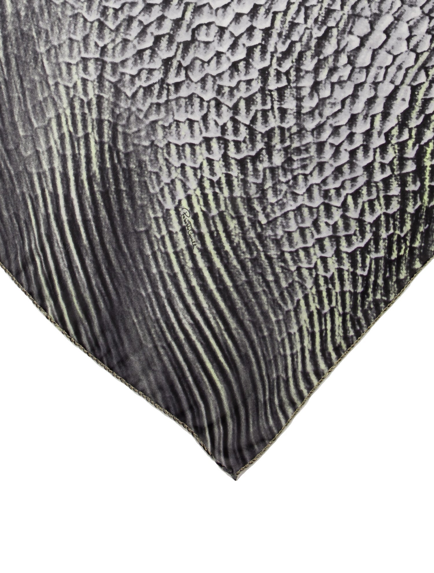 Roberto Cavalli Striped Scarf