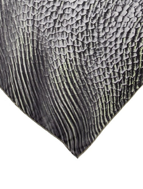 Roberto Cavalli Striped Scarf