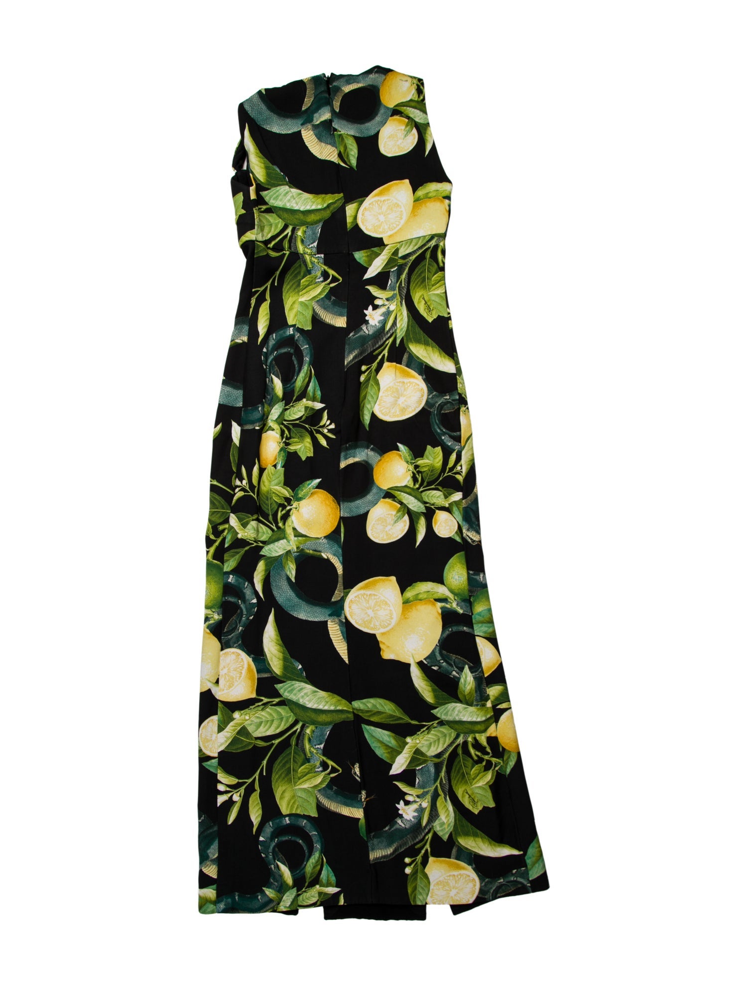 Roberto Cavalli Floral Print Long Dress