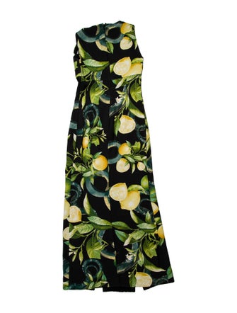 Roberto Cavalli Floral Print Long Dress
