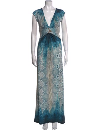 Roberto Cavalli Animal Print Long Dress