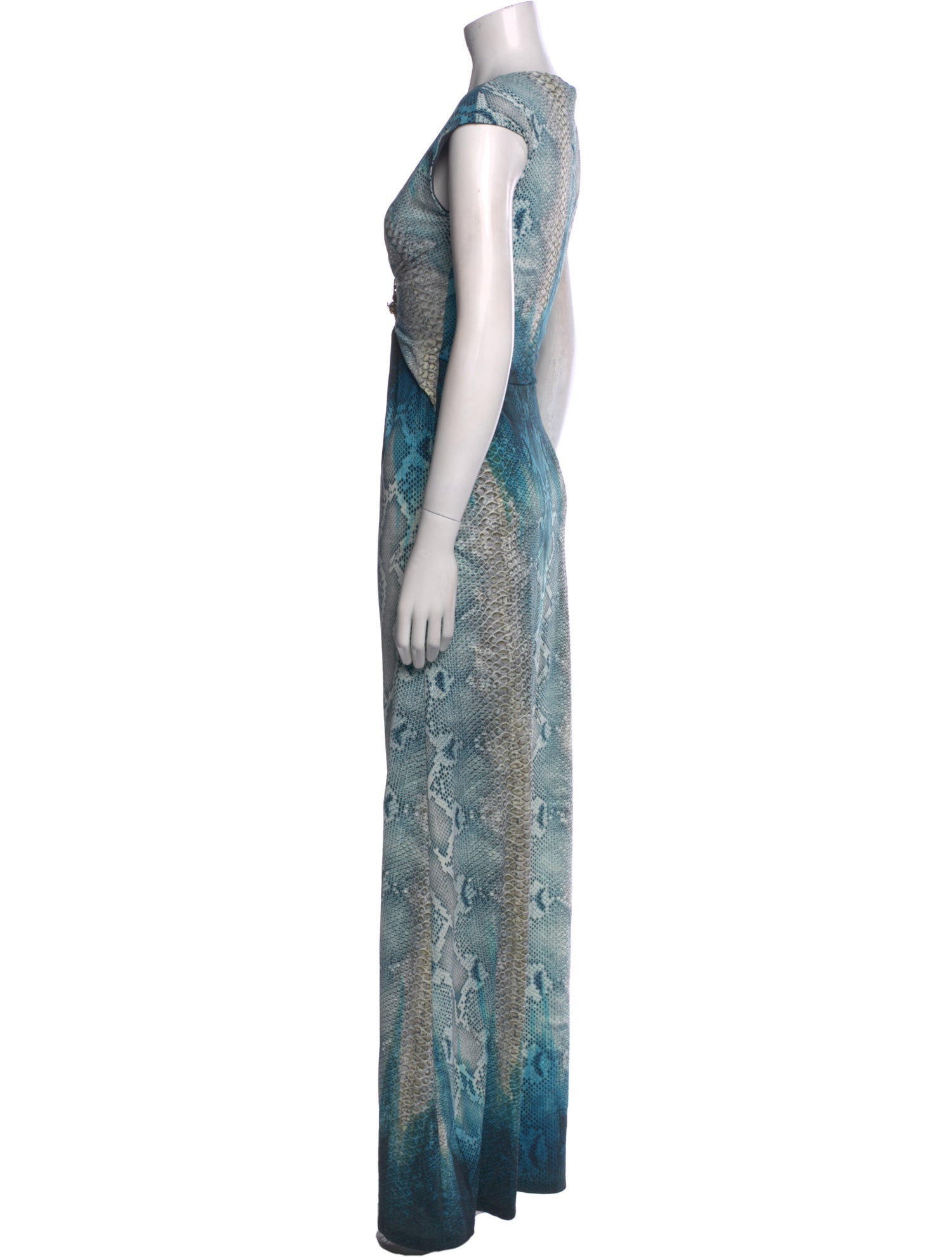 Roberto Cavalli Animal Print Long Dress